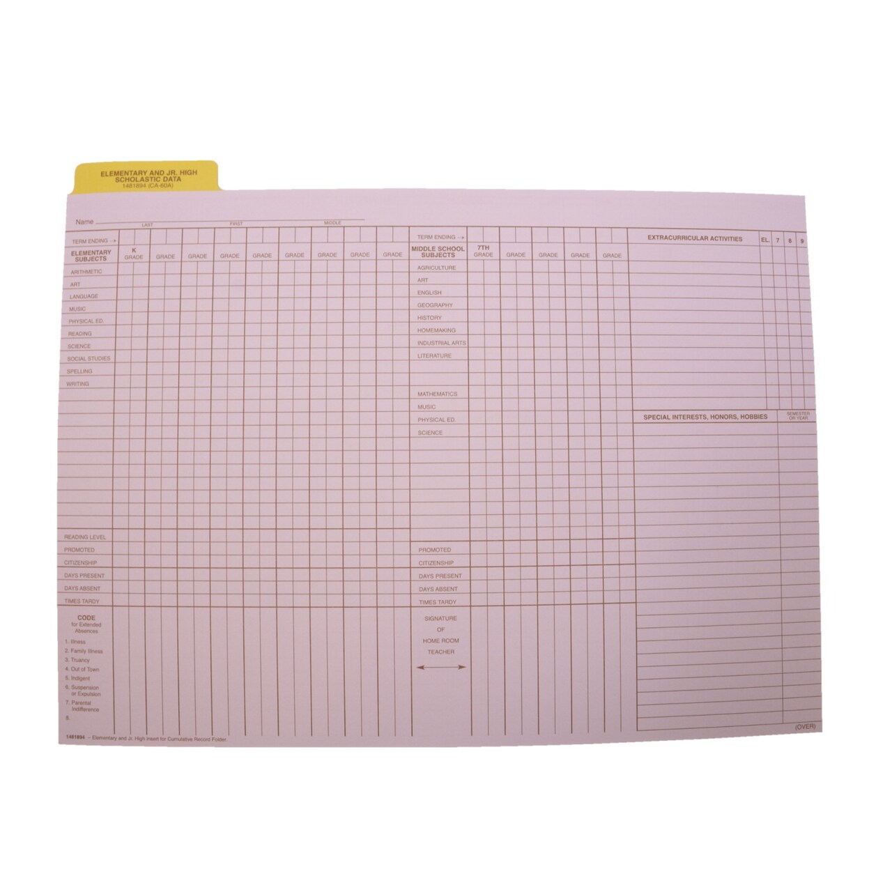 Hammond & Stephens Data Insert for Cumulative Record Folder, 9 x 11-3/4 Inches, Set of 25